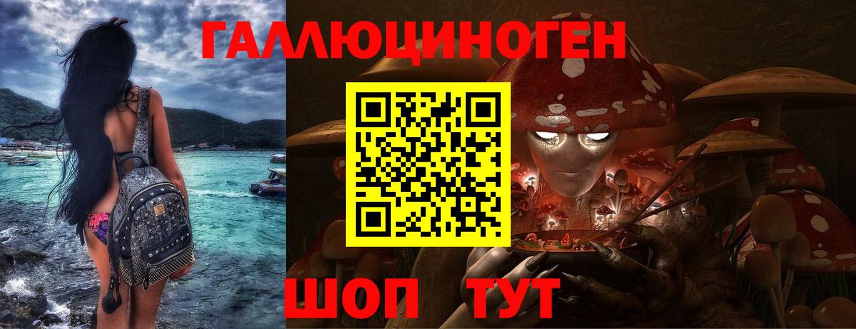 Галлюциногенные грибы Psilocybine cubensis Лесной