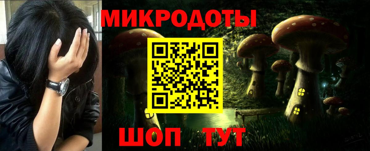 Псилоцибиновые грибы прущие грибы Лесной