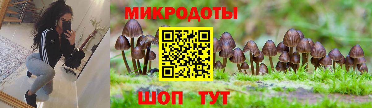 Псилоцибиновые грибы прущие грибы  Вход с VPN  Лесной  Псилоцибиновые грибы MAGIC MUSHROOMS 