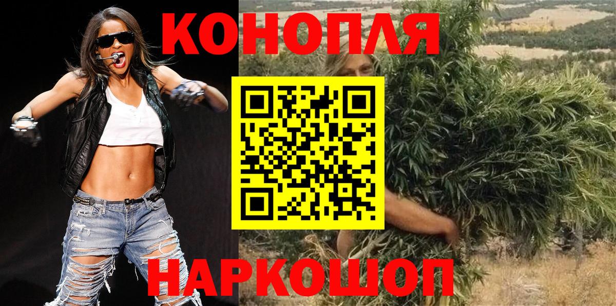 Бошки Шишки семена Лесной